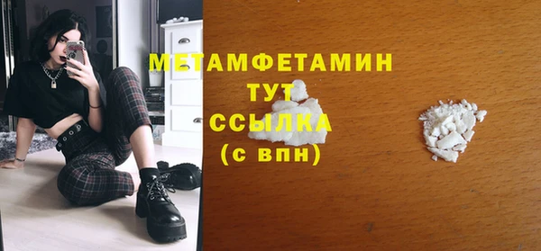 шишки Надым