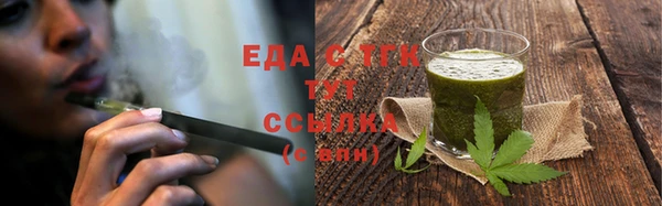 шишки Надым