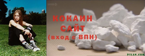 шишки Надым