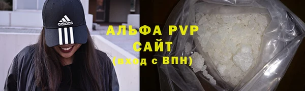 шишки Надым