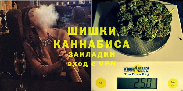 шишки Надым