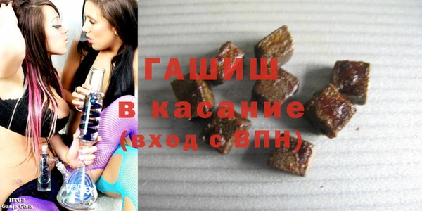 шишки Надым