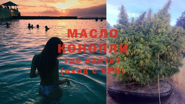 шишки Надым
