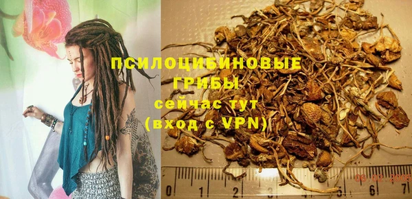 винт Михайлов