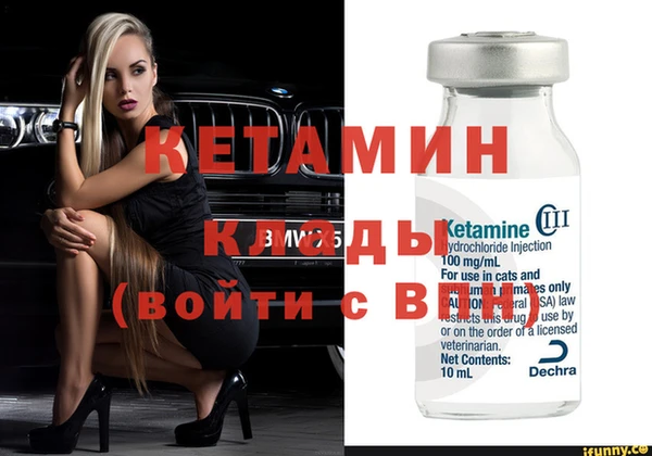 шишки Надым