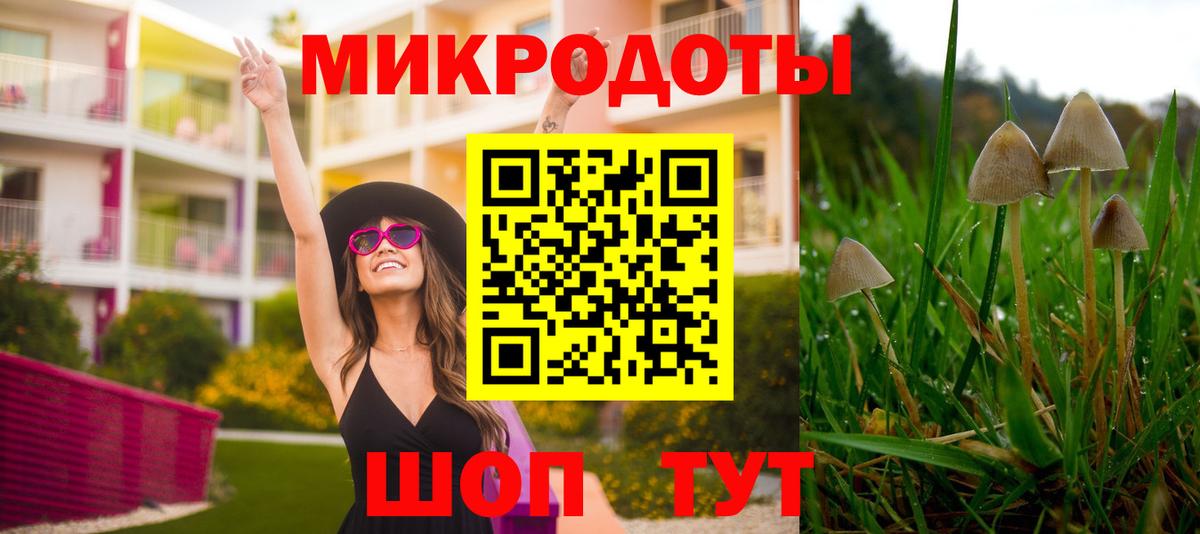 где можно купить   Галлюциногенные грибы ЛСД  Вход с VPN  Ивантеевка  Псилоцибиновые грибы ЛСД 