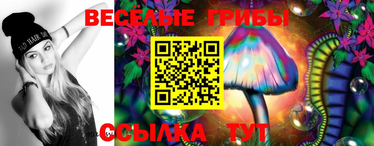 Псилоцибиновые грибы прущие грибы Ивантеевка